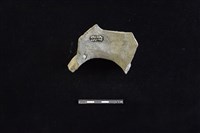 陶罐藏品圖，第2張